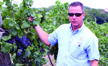 Visitors can tour Bill Oliver's Creekbend Vineyards Saturday afternoon