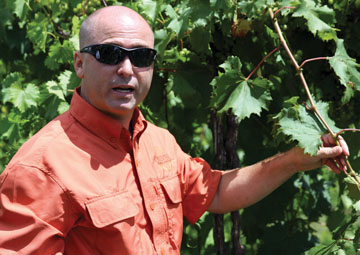 Oliver's Dennis Dunham at Creekbend Vineyard