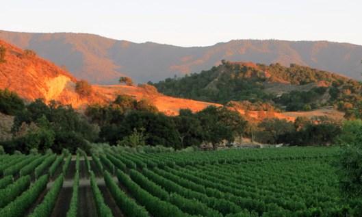 Stunning sunset over the mountains/vineyards of Happy Canyon in Santa Barbara Co., Calif.