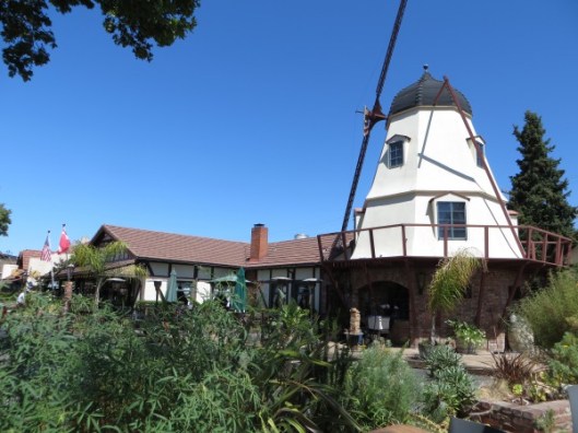 So I took the picture - please note it's NOT a selfie!