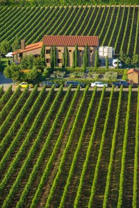 Alloro Winery, Chehalem Mountain AVA, Willamette Valley, Oregon