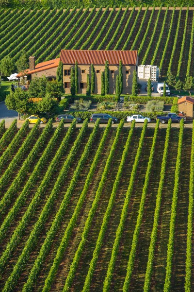 Alloro Winery, Chehalem Mountain AVA, Willamette Valley, Oregon